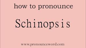 Image result for Schinopsis