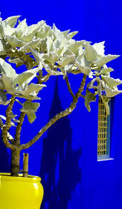 O Azul Majorelle E Uma Das Nossas Cores Favoritas Blue Majorelle Is One Of Our Favourite Colours Marrakech Moroccan Inspiration House Colors