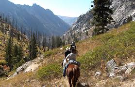 Kyle has 20 years of experience in dealing with all types of noxious weeds, and 10 years of pest control experience. Noxious Weed Free Forage And Straw Certification Program Invasive Species Of Idaho