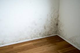 Schimmelflecken im badezimmer, an fliesen, fugen, schimmel an der wand, an zimmerdecken, in zimmerecken, um das fenster herum und im keller entfernen, bekämpfen, vermeiden. Wer Haftet Bei Schimmel Hausinfo