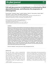 Check spelling or type a new query. Pdf Cell Wall Glucomannan In Arabidopsis Is Synthesised By Csla Glycosyltransferases And Influences The Progression Of Embryogenesis