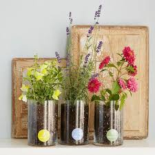 Check spelling or type a new query. Uncommon Goods Birth Month Flower Grow Kit