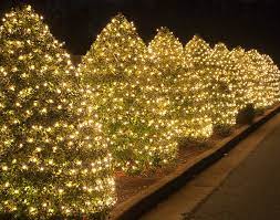 Though these are the most popular lights for christmas trees, they are very subtle on rooftops creative christmas light ideas for your home. Wrapping Trees With Christmas Lights