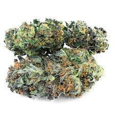 We did not find results for: Cbd Flowers Wholesale France Or Cbd Flowers Wholesale Switzerland Cbd Flowers Wholesale Europe