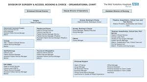 Division Of Surgery Access Booking Choice