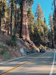 State, is an isolated volcanic archipelago in the central pacific. Nature Usa Travel United States Landscape America The Picturesque Mountains Sky Panorama Pxfuel