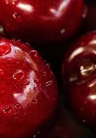 The main thing is that crops yield such that you cannot believe your eyes. Plum Breeding Intechopen
