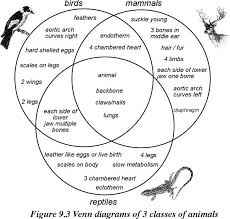 Consider a gas sealed in a container with a tightly fitting yet movable piston as seen below. Venn Diagram Samples