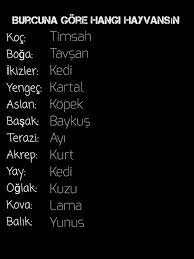 burcuna gore hangi hayvansin burclar ikizler gercekler