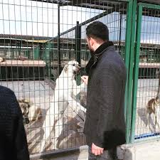 Sivas Iyi Genclik Ten Tek Yukunuz Cicek Olsun Etkinligibuyuk Sivas Haber Sivas Haberleri Haberler Guncel Yerel Haberler