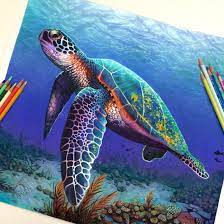 Pin By Adrianna Ramos On Telas Color Pencil Illustration Turtle Painting Sea Turtle Art