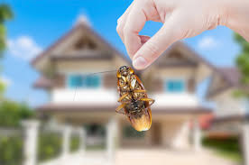 Yes, all pest management professionals are licensed and can present their pest control licenses upon request. Difference Between Pest Extermination And Pest Control Drive Bye Pest Exterminators
