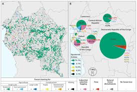The congo basin spans across six countries—cameroon, central african republic, democratic there are approximately 10, 000 species of tropical plants in the congo basin and 30 percent are. Smallholder Clearing Found To Be Dominant Reason For Forest Loss In The Congo Basin