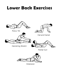 Lower Back Exercise Chart