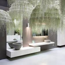Image Result For Spanish Moss Decor Air Plant Display Plant Lighting Air Plants