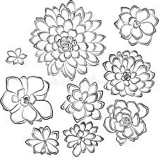 Colora questi fiori in qualsiasi colore desideri. Insieme Dei Disegni Dei Fiori Dei Succulenti Illustrazione Vettoriale Illustrazione Di Botanica Foglio 110261840