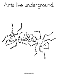 Also you can search for other artwork with our tools. Ants Live Underground Coloring Page Twisty Noodle
