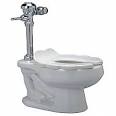 Flushometer toilet