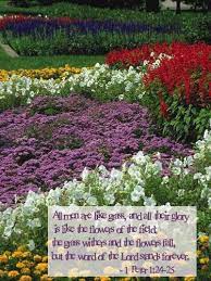 Scripture about flowers of the field. 1 Peter 1 24 25 Illustrated The Flowers Fall Heartlight Gallery