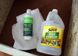 Biokleen Bac Out Stain And Odor Remover How To Get Mouse Pee Out Of Particle Board Cleaning Wood Particle Board How To Clean Furniture