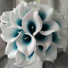 ✓ free for commercial use ✓ high quality images. Calla Lily Expensive Flower Thunderscloud