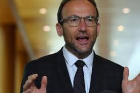 Maine Casino Accidentally Tells Guests They Won Free Slot Play