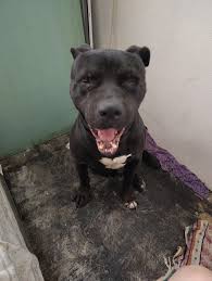 Power Outage Reminder in Trona