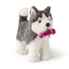 Milo is extremely smart and loves to play. Husky Puppy American Girl