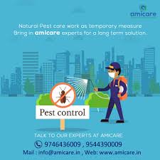 There are several services that the pest control service providers are offering their customers to make the. Amicare Services An Iso Certified Company For Pest Control Pest Control Service In Ernakulam Cochin Ernakulam Click In