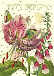 We did not find results for: Happy Birthday Lily Buy Online Or Call 01264 771382