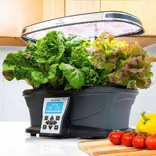 The best aerogardens for growing your very own foolproof indoor garden. Cultivate Countertop Crops With Half Price Aerogarden Indoor Gardening Kits Imore