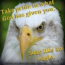 Quotes About Eagles Wings 38 Quotes