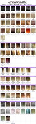 Color Charts Janise Crow The Hair Lady