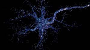 Neuron Gif Find Share On Giphy Neurology Medical Videos Gif
