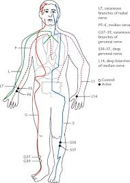 Defining Meridians A Modern Basis Of Understanding