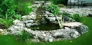 Looking to add some personality to an underwhelming also consider the shape of the pond and the topography of your yard. Small Backyard Ponds Everything Ponds Com
