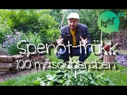 Maybe you would like to learn more about one of these? Fagyasztott Spenot 2 Perc Alatt Sem Youtube