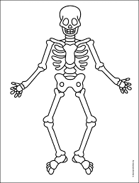 Easy How To Draw A Skeleton Tutorial And Skeleton Coloring Page