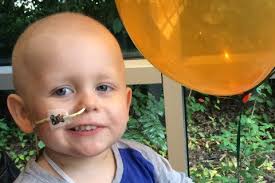 Make William Well Fund