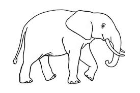 Menggambar lebar kaki di tanah. Sketsa Gajah Radea