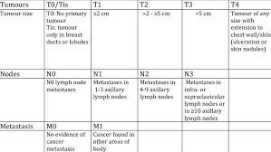 Image result for Breast Cancer Staging