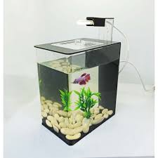 Inilah aquarium mini unik berbentuk rumah untuk ikan hias , harganya murah meriah gak bikin. Ready Aquarium Akrilik Aquarium Unik Aquarium Minimalis Aquarium Cupang Aquarium Ikan Guppy Shopee Indonesia