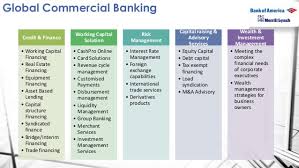 investment banking project on bank of america merrill lynch