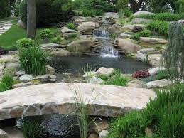 Alles Rund Um Gartenteich Anlegen So Geht Es Schritt Fur Schritt Teichlandschafts Gartenteich Wasserfall Garten