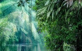 Ακριβής ώρα τώρα, ζώνη ώρας, διαφορά ώρας, ώρες ανατολής/δύσης του ηλίου και βασικά στοιχεία περί λιμπέρια, κόστα ρίκα. Kosta Rika Prosfores Gia Diakopes Manessis Travel