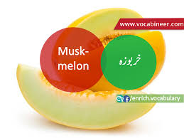 Fruits Name In Urdu Hindi And English With Pictures English Vocabulary Vocabulary Learn English