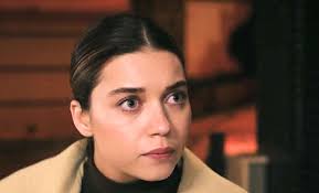 Зимородок» 3 сезон 17 серия: развод Суны и Аби, похищение Ифакат и пропажа  Сейран - Экспресс газета