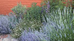 Perennials are plants and flowers that come back year after year. Gorgeous Garden Border Design Ideas For Any Yard In The West Sunset Sunset Magazine