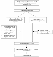 Flow Chart Of The Trial Process Download Scientific Diagram