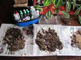 Click the link below to see how to make your homemade plant food. How To Make Fertilizer Homemade Plant Fertilizer Houselogic